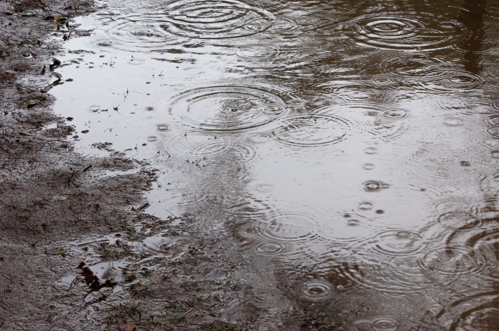 地 て 雨 固まる 降っ