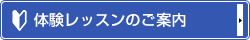 体験レッスンのご案内